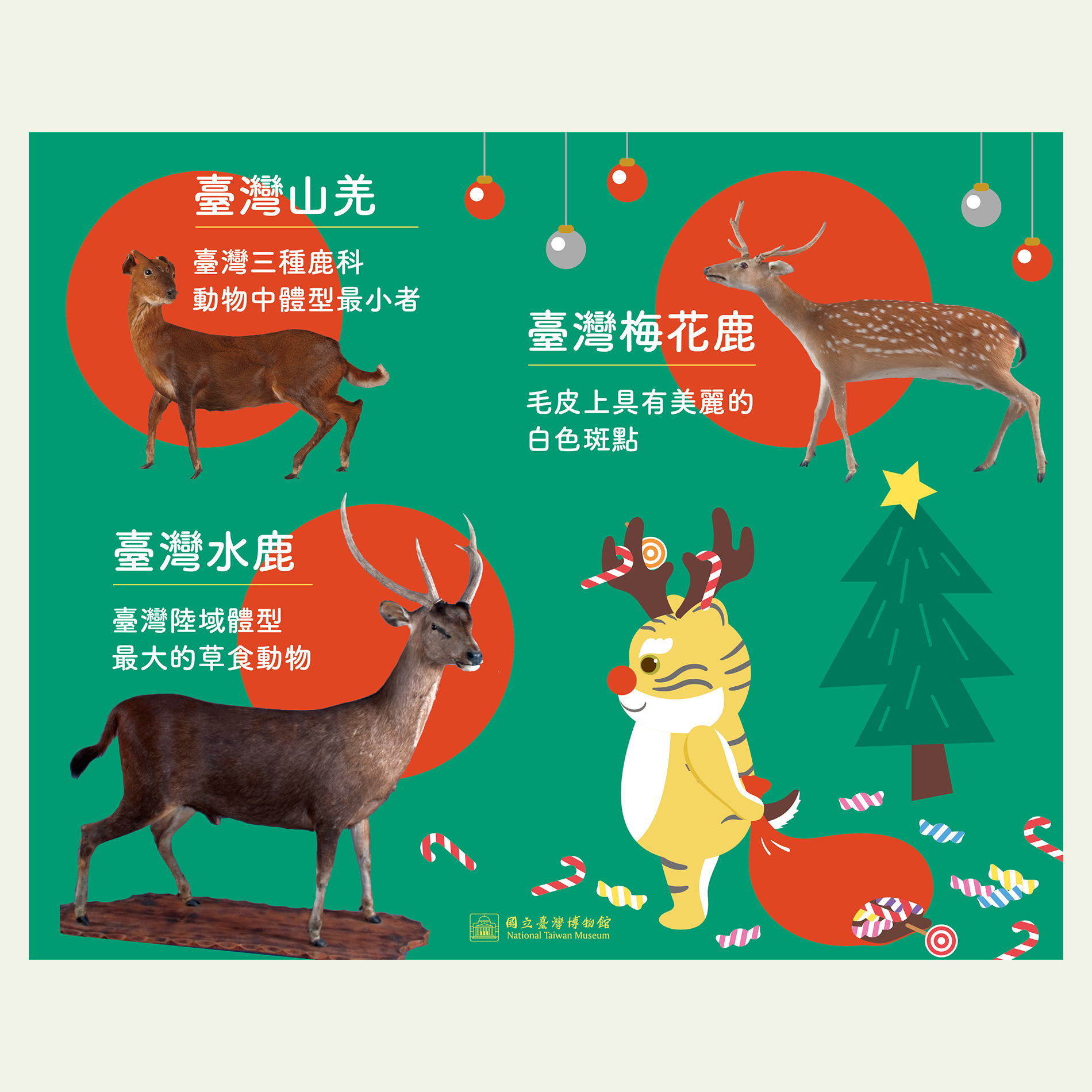【虎寶日記147】Merry Xmas！臺灣也有可愛的鹿